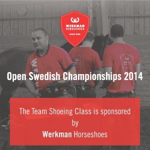 Swedish Championship 2014-page-001